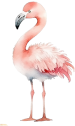 flamingo.png